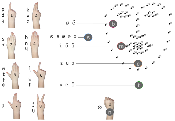 Illustration des positions et formes de mains