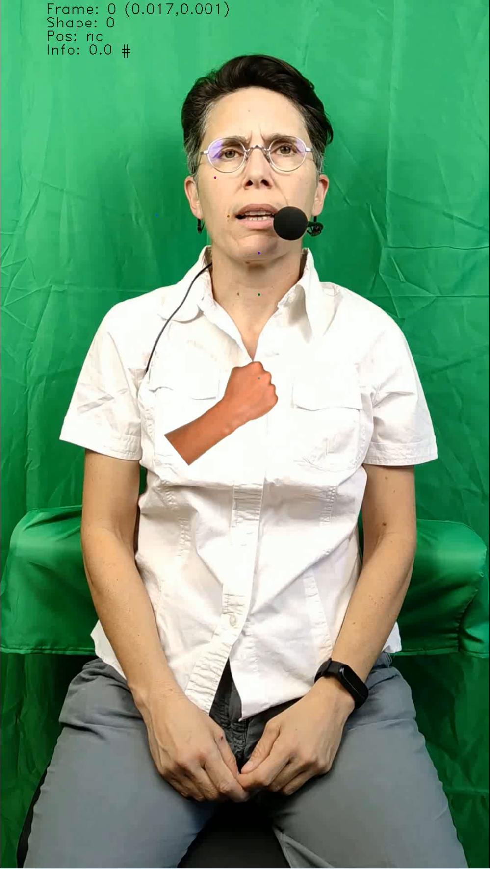 Video preview