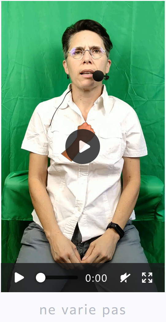 Video preview