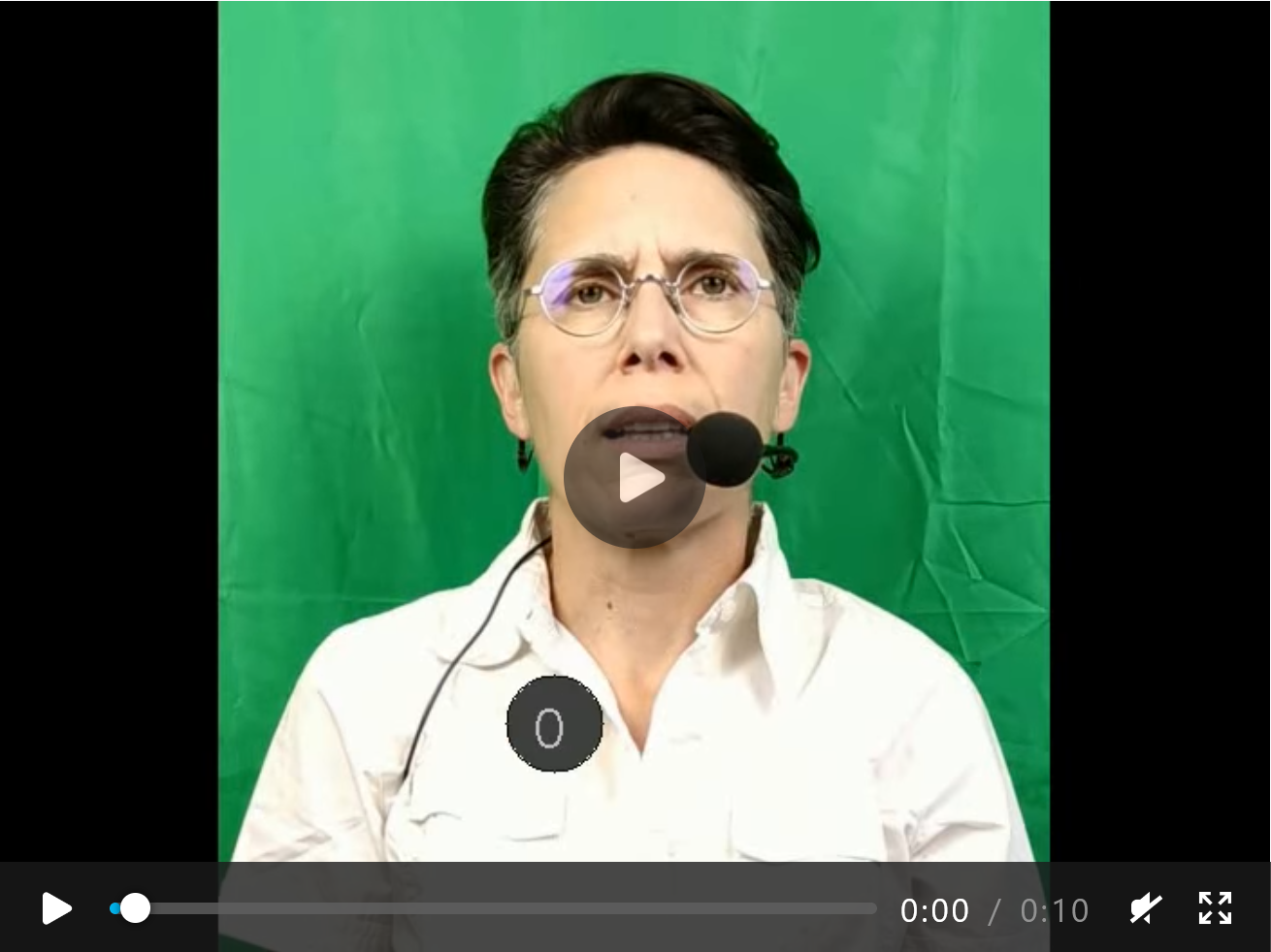 Video preview