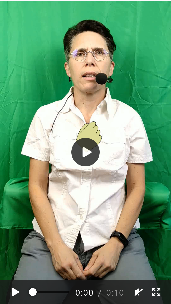 Video preview