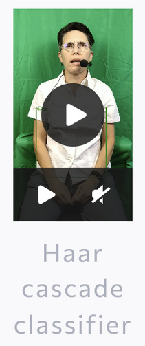 Video preview