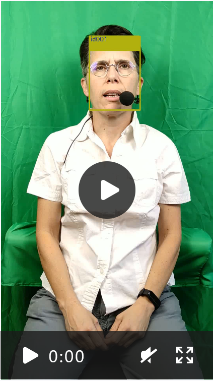 Video preview