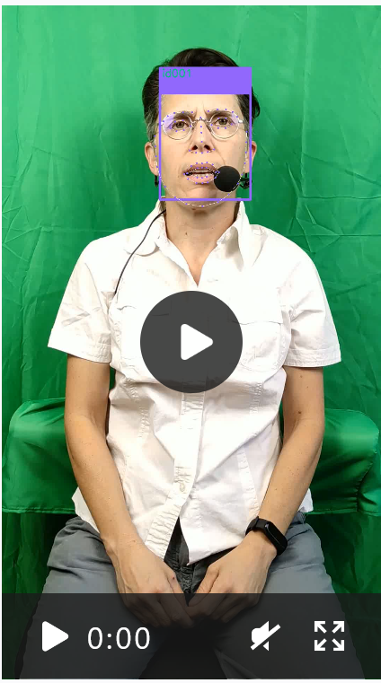 Video preview