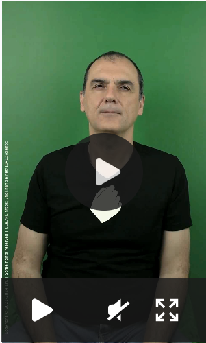 Video preview