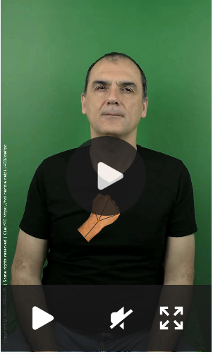 Video preview