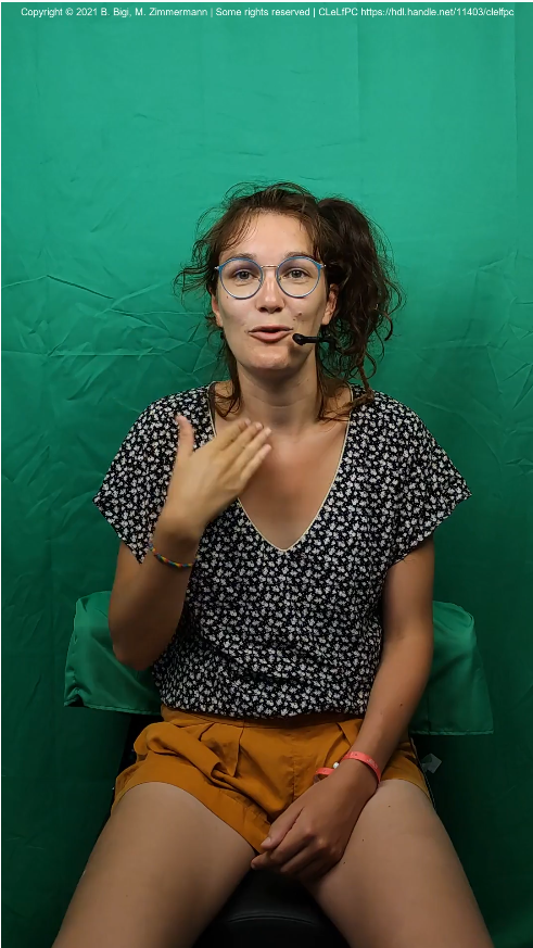 Video preview