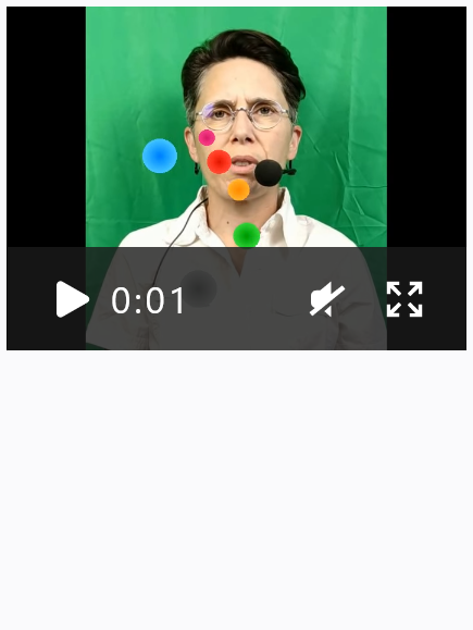 Video preview