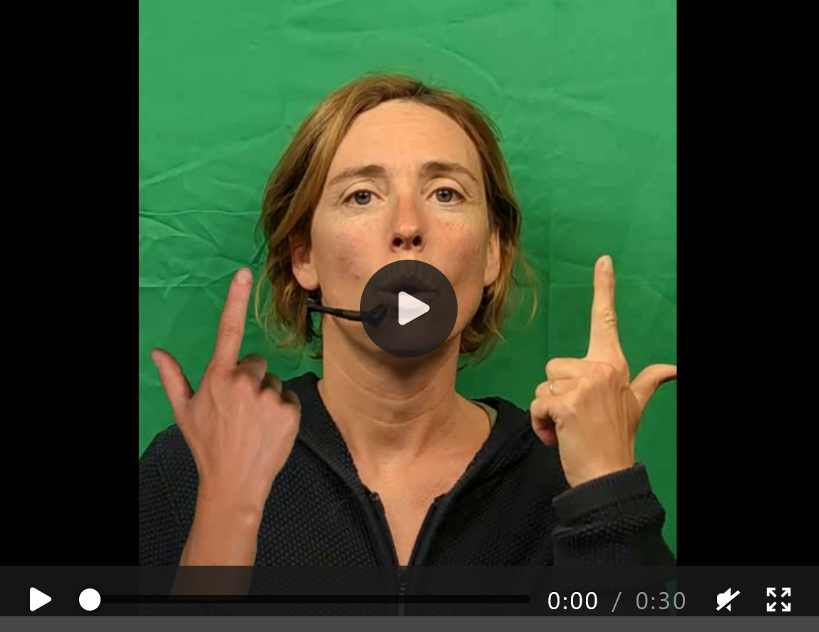 Video preview