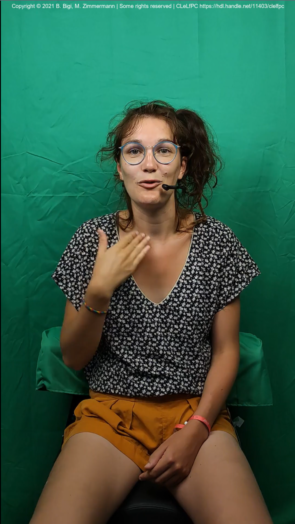 Video preview