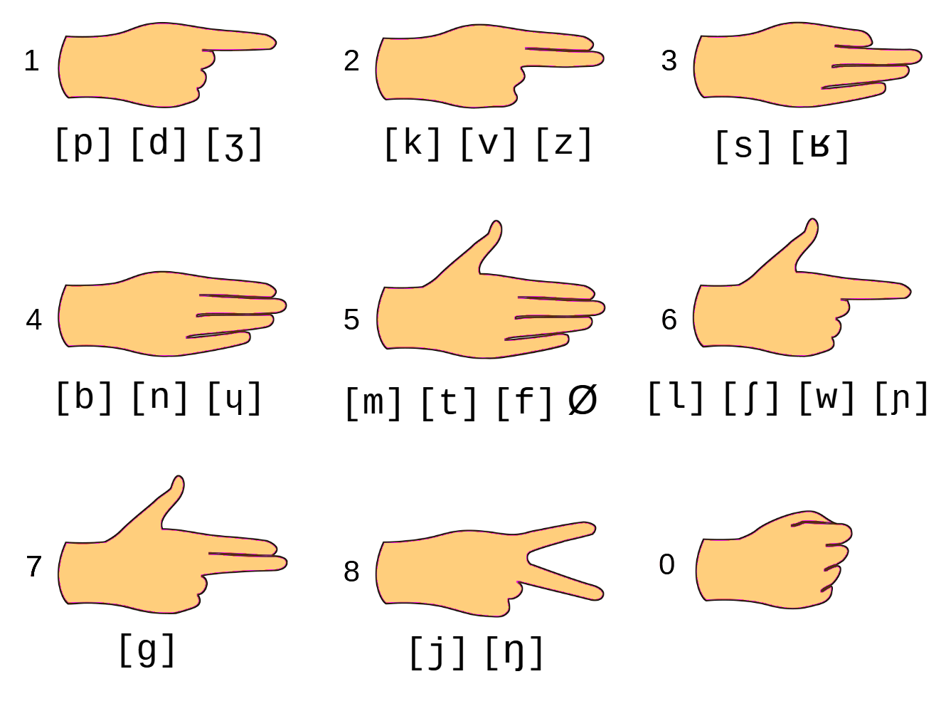 Hand shapes